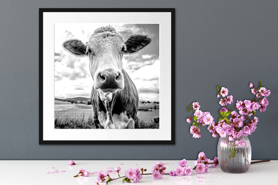 Nahaufnahme Kuh auf grüner Weide, Monochrome Passepartout Detail Quadratisch