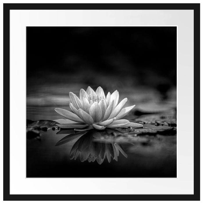 Leuchtende Lotusblüte auf grauer Pfütze, Monochrome Passepartout Quadratisch 55