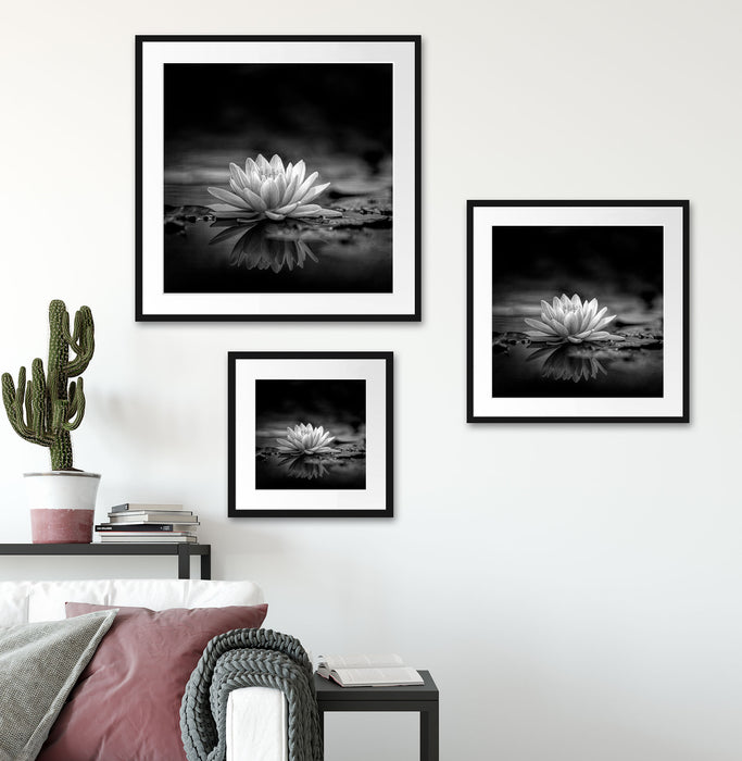 Leuchtende Lotusblüte auf grauer Pfütze, Monochrome Passepartout Wohnzimmer Quadratisch