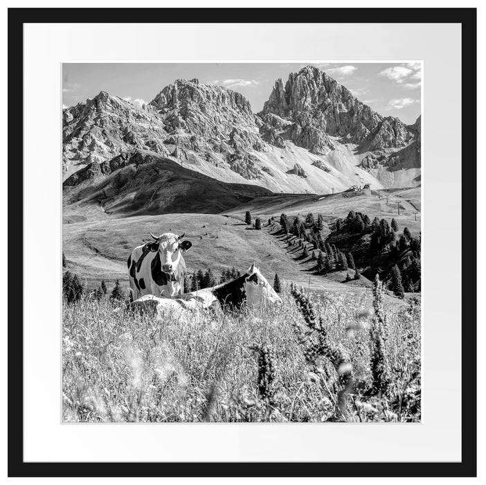 Alpenszene mit Kühen auf grüner Wiese, Monochrome Passepartout Quadratisch 55