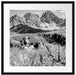 Alpenszene mit Kühen auf grüner Wiese, Monochrome Passepartout Quadratisch 55