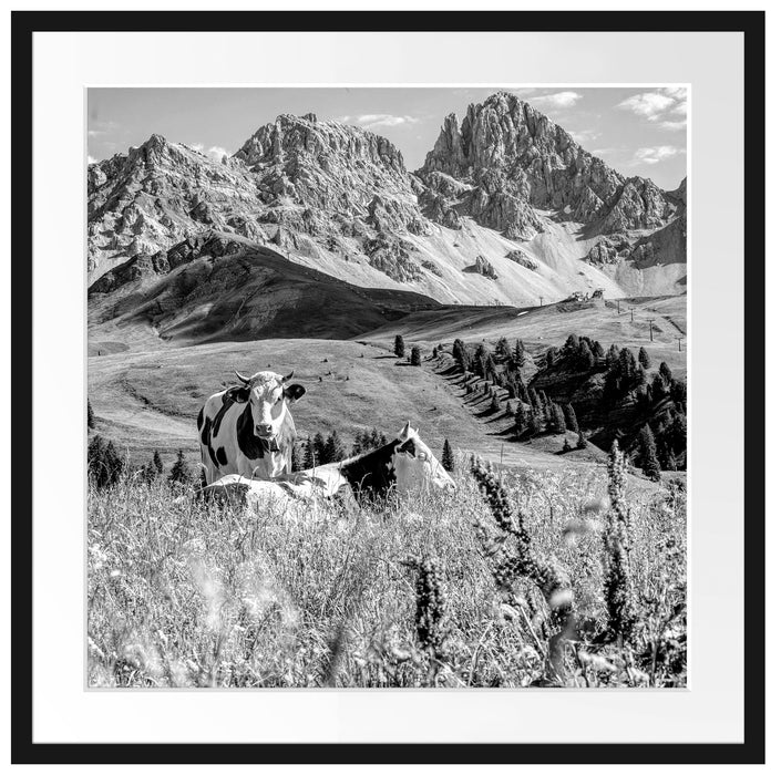 Alpenszene mit Kühen auf grüner Wiese, Monochrome Passepartout Quadratisch 70