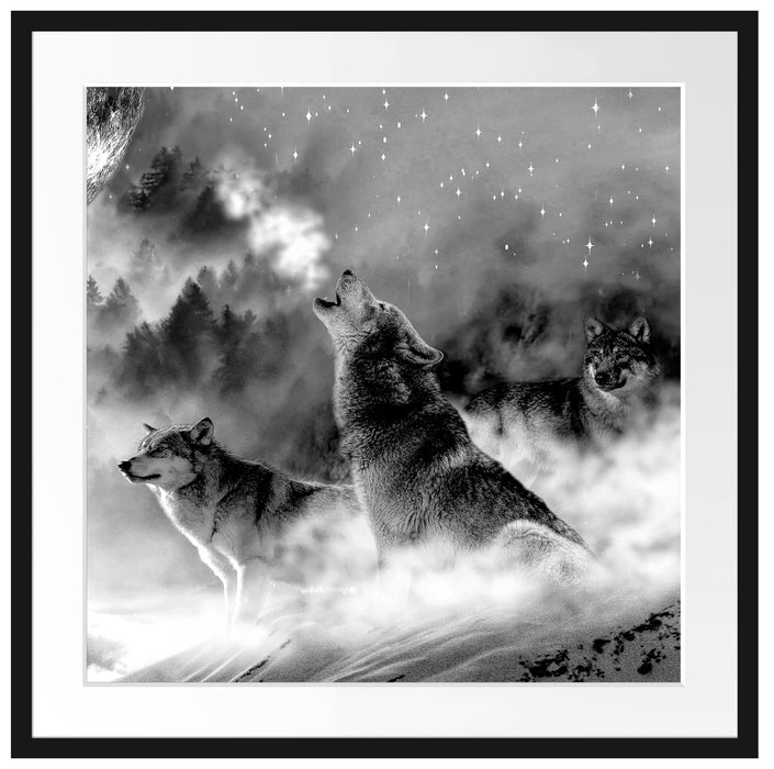 Wölfe in der Wüste heulen Vollmond an, Monochrome Passepartout Quadratisch 70
