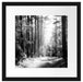 Sonnige Lichtung im Herbstwald, Monochrome Passepartout Quadratisch 40