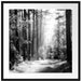 Sonnige Lichtung im Herbstwald, Monochrome Passepartout Quadratisch 70