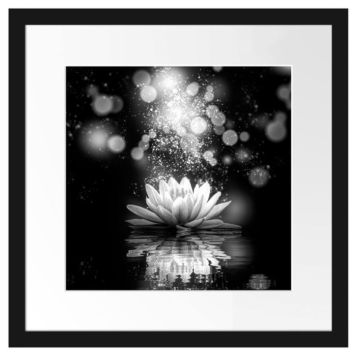 Magische Lotusblüte mit Glitzerstaub, Monochrome Passepartout Quadratisch 40