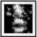 Magische Lotusblüte mit Glitzerstaub, Monochrome Passepartout Quadratisch 70