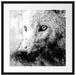 Dreckiger Wolf Nahaufnahme, Monochrome Passepartout Quadratisch 55