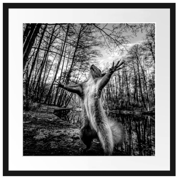 Lustiges Eichhörnchen steht im Wald, Monochrome Passepartout Quadratisch 55