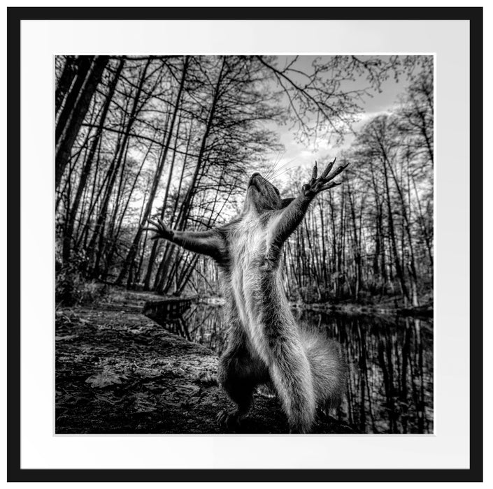 Lustiges Eichhörnchen steht im Wald, Monochrome Passepartout Quadratisch 70