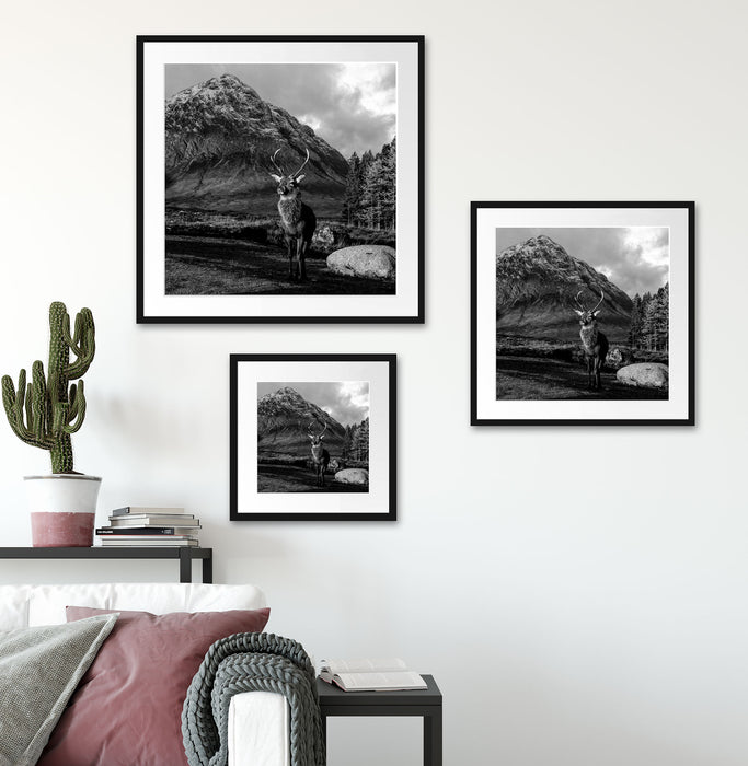 Einsames Rentier vor Berglandschaft, Monochrome Passepartout Wohnzimmer Quadratisch