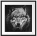 Nahaufnahme Wolf mit offener Schnauze, Monochrome Passepartout Quadratisch 55