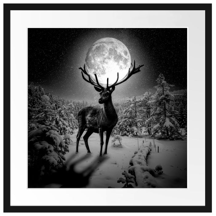 Rentier im Winterwald bei Mondschein, Monochrome Passepartout Quadratisch 55