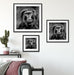Skeptischer Affe schielt zur Seite, Monochrome Passepartout Wohnzimmer Quadratisch