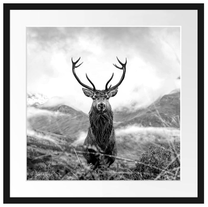 Majestätischer Hirsch in Berglandschaft, Monochrome Passepartout Quadratisch 55