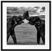 Elefanten Rüssel an Rüssel, Monochrome Passepartout Quadratisch 55