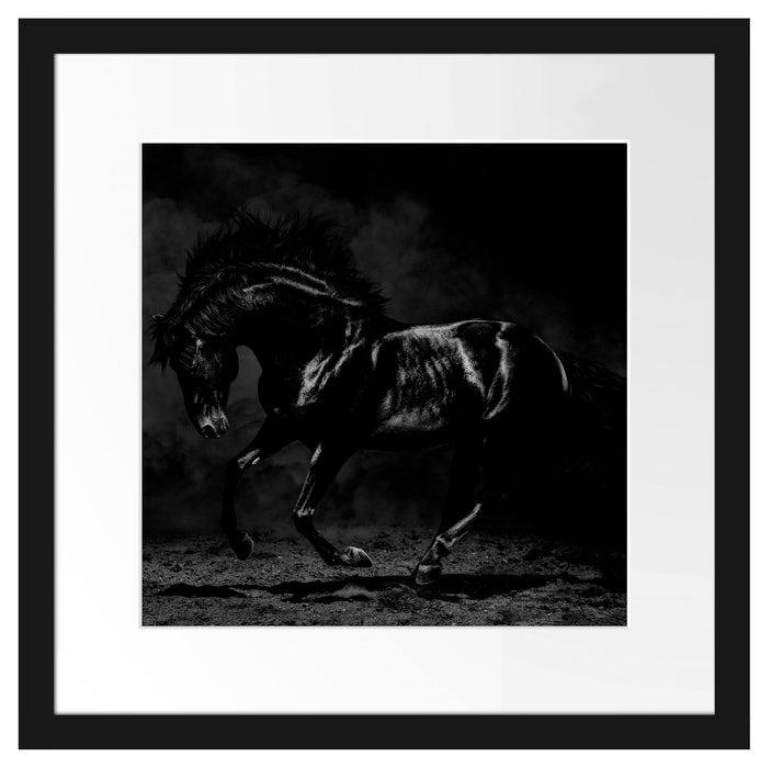 Edles galoppierendes schwarzes Pferd, Monochrome Passepartout Quadratisch 40