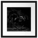 Edles galoppierendes schwarzes Pferd, Monochrome Passepartout Quadratisch 40