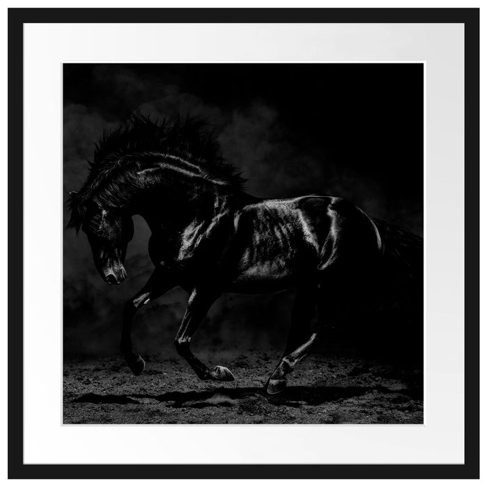 Edles galoppierendes schwarzes Pferd, Monochrome Passepartout Quadratisch 55