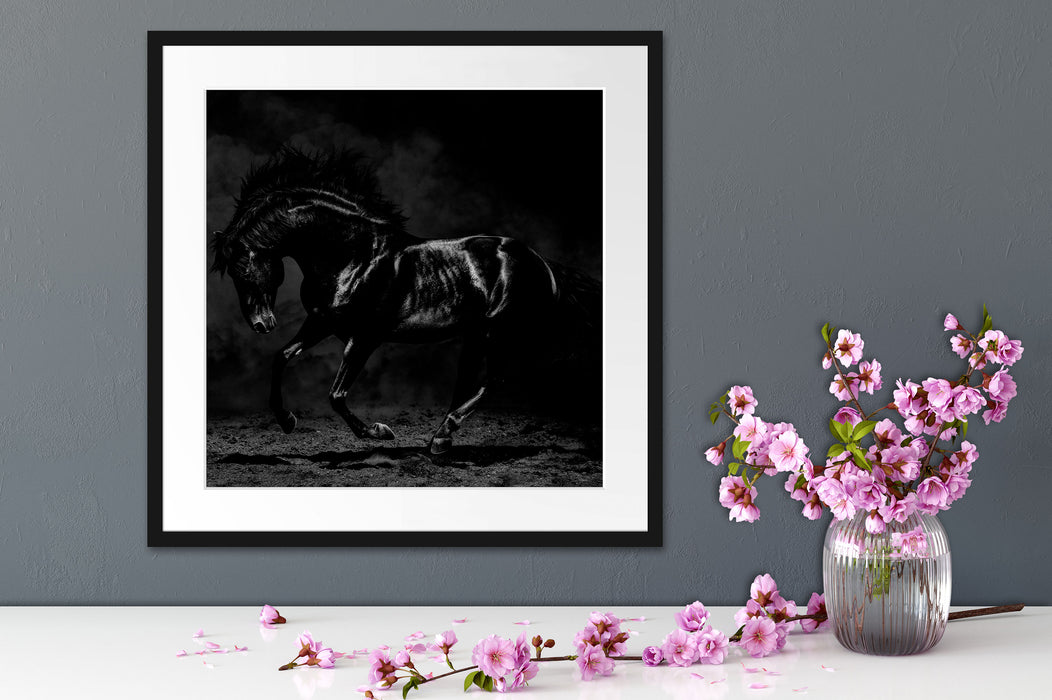 Edles galoppierendes schwarzes Pferd, Monochrome Passepartout Detail Quadratisch