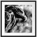 Mächtiger Adler Nahaufnahme, Monochrome Passepartout Quadratisch 55