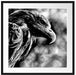 Mächtiger Adler Nahaufnahme, Monochrome Passepartout Quadratisch 70
