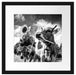 Nahaufnahme Kuh mit Sonnenblume im Maul, Monochrome Passepartout Quadratisch 40