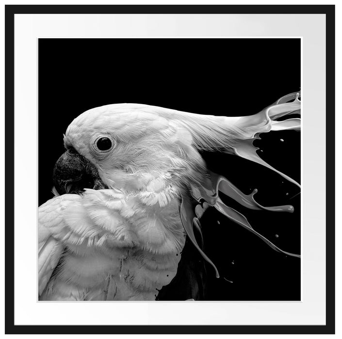 Papagei mit buntem Kamm, Monochrome Passepartout Quadratisch 70