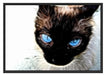 Schwarze elegante Katze Schattenfugenrahmen 100x70