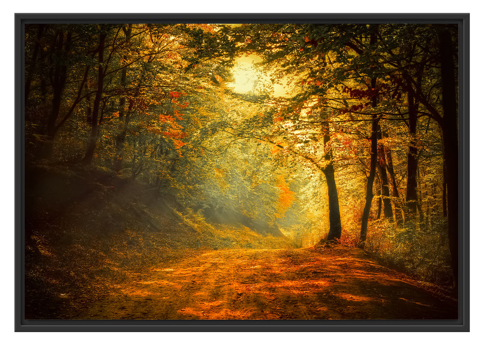 Pixxprint Wald Landschaft, im Schwebe-Effekt Bilderrahmen