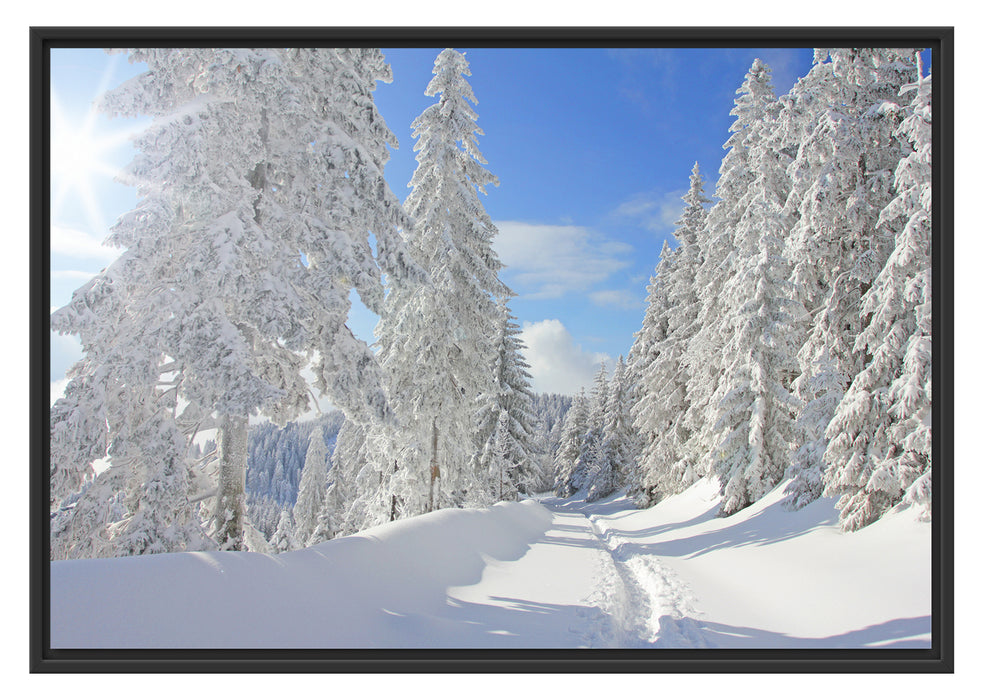 Pixxprint Winterlandschaft Bäume, im Schwebe-Effekt Bilderrahmen