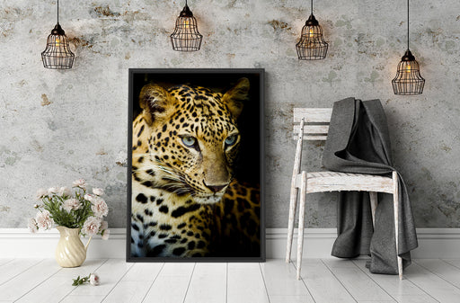 Leopard mit blauen Augen Schattenfugenrahmen Wohnzimmer