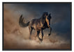 Schwarzes Pferd Schattenfugenrahmen 100x70