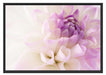 Traumhafte lila weiße Blüte Schattenfugenrahmen 100x70