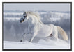 Weißes Pferd auf Schneewiese Schattenfugenrahmen 100x70