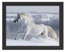 Weißes Pferd auf Schneewiese Schattenfugenrahmen 38x30