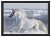 Weißes Pferd auf Schneewiese Schattenfugenrahmen 55x40