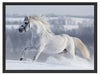 Weißes Pferd auf Schneewiese Schattenfugenrahmen 80x60