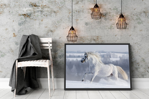 Weißes Pferd auf Schneewiese Schattenfugenrahmen Wohnzimmer