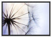 Weiße Pusteblumen Schattenfugenrahmen 100x70