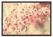 Kirschblüten Schattenfugenrahmen 100x70
