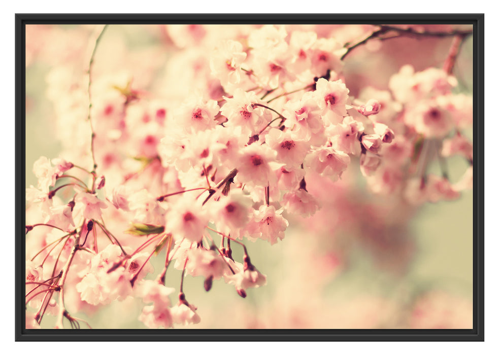 Pixxprint Kirschblüten, im Schwebe-Effekt Bilderrahmen