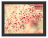 Kirschblüten Schattenfugenrahmen 38x30