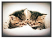 Katzen Herzform Schattenfugenrahmen 100x70