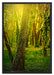 Bäume und Efeu Schattenfugenrahmen 100x70