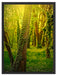 Bäume und Efeu Schattenfugenrahmen 80x60