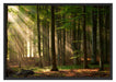 Bäume im Licht Schattenfugenrahmen 100x70