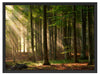 Bäume im Licht Schattenfugenrahmen 80x60