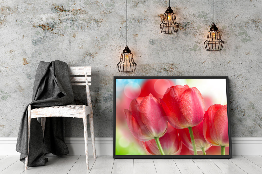 Rote Tulpen Schattenfugenrahmen Wohnzimmer