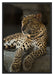 Majestäischer Leopard Schattenfugenrahmen 100x70